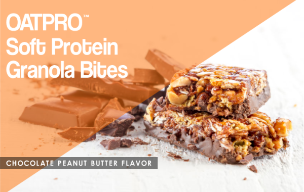 2-day JUMPSTART Speedloss - oatpro soft protein granola bites